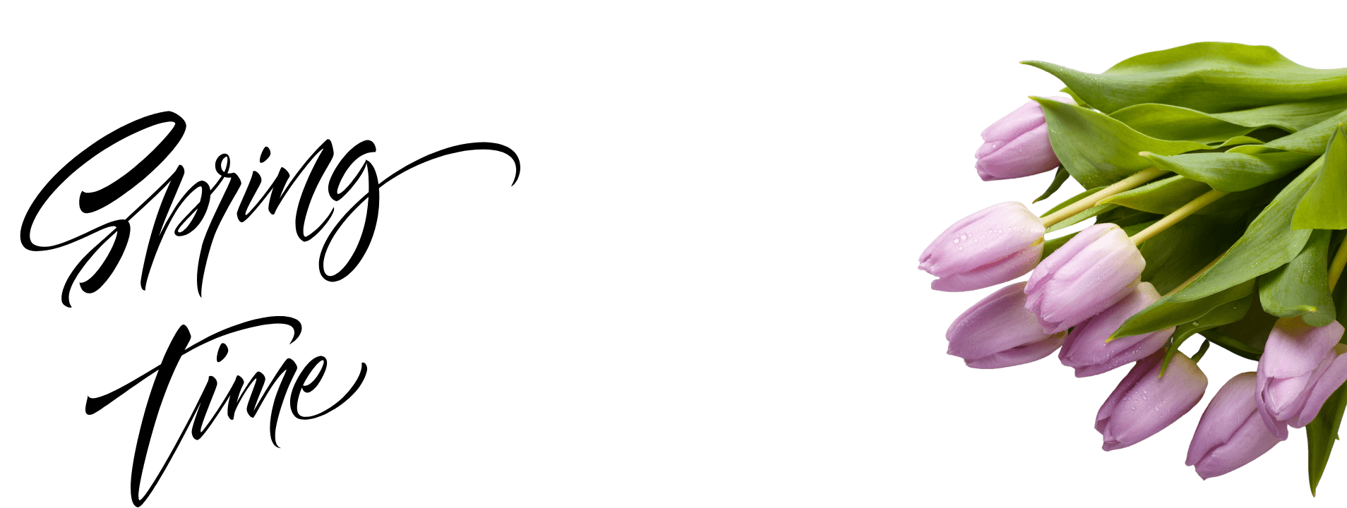 Tavaszi ár zsongás - petportal.hu