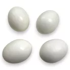 2GR műtojás nagypapagáj 28x37mm 16g
