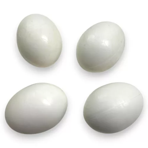 2GR műtojás nagypapagáj 28x37mm 16g