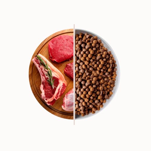 Alfa kutyatáp marhás-bárányos 20kg Maintenance Adult All Breed Beef and Lamb