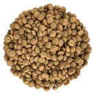 Alfa kutyatáp marhás-bárányos 20kg Maintenance Adult All Breed Beef and Lamb