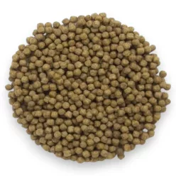 Coppens Wheat Germ koi ponty eledel 6mm lebegő pellet 1kg