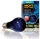 Exo-Terra 2126 Night Heat izzó 50W