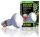 Exo-Terra 2131 Daylight Basking Spot izzó 50W