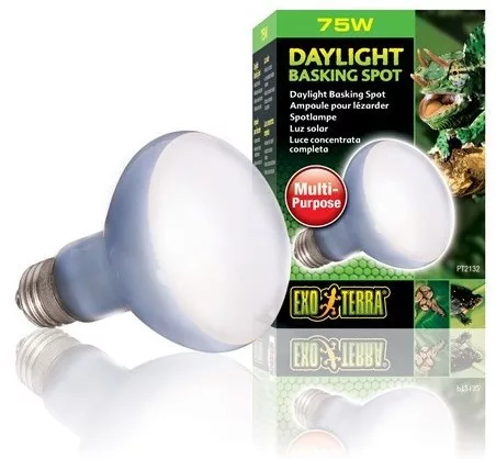 Exo-Terra 2132 Daylight Basking Spot izzó 75W