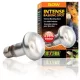 Exo-Terra 2135 Intense Basking Spot izzó 50W