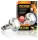 Exo-Terra 2138 Intense Basking Spot izzó 100W