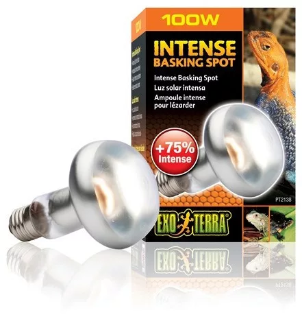 Exo-Terra 2138 Intense Basking Spot izzó 100W