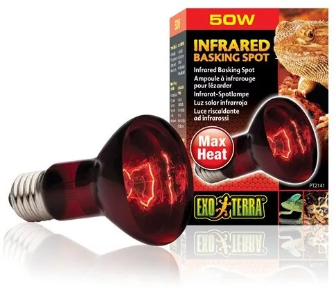 Exo-Terra 2141 Infrared Basking Spot izzó 50W