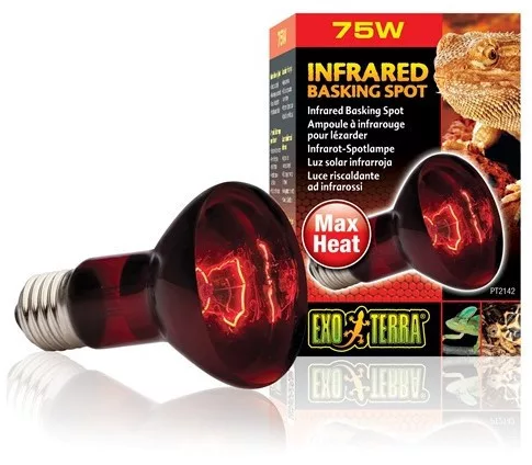 Exo-Terra 2142 Infrared Basking Spot izzó 75W
