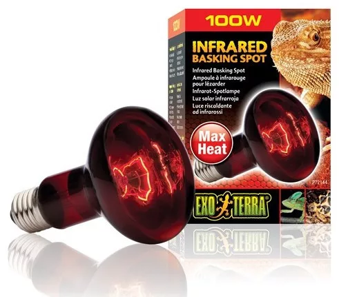 Exo-Terra 2144 Infrared Basking Spot izzó 100W