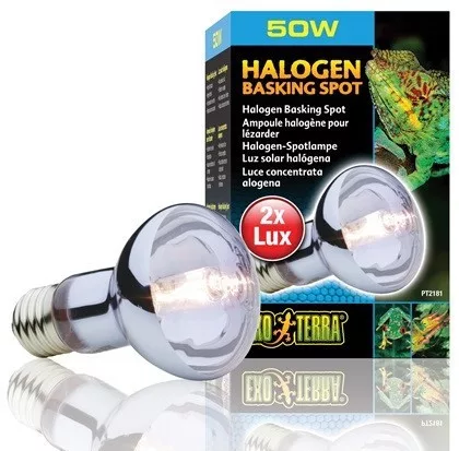 Exo-Terra 2181 Halogen Basking Spot izzó 50W