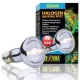 Exo-Terra 2181 Halogen Basking Spot izzó 50W