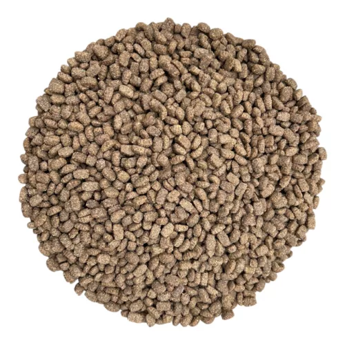 Gemon Mini Adult kutyatáp lazac-rizs 20kg 