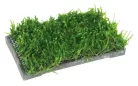 Ista kerámia vízinövényültető 5x10cm téglalap