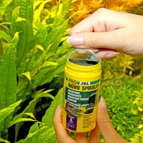 JBL ProNovo Spirulina Grano S 100ml CLICK