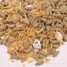 JBL ProTerra Molluscus 250ml