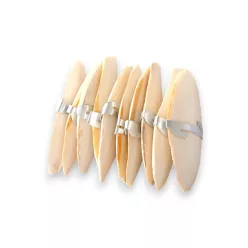 JK szépia csőrkoptató 10 db-os csomagban 9-10cm