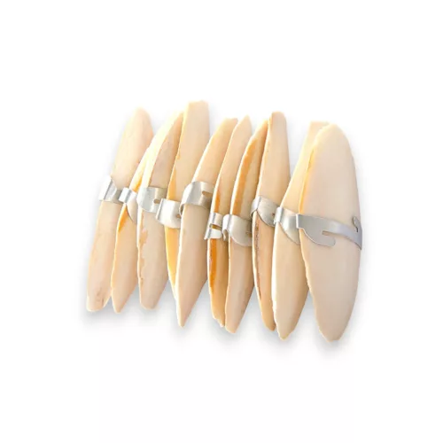 JK szépia csőrkoptató 10 db-os csomagban 9-10cm