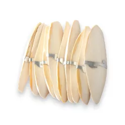 JK szépia csőrkoptató 10 db-os csomagban 10-13cm