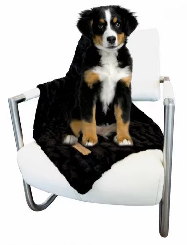 M-PETS takaró Skye XXS 55x35cm fekete