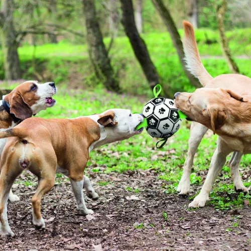 M-PETS kutya focilabda vízben lebegő 15cm