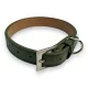 M-PETS nyakörv krokodil S 1,5x22-30cm zöld