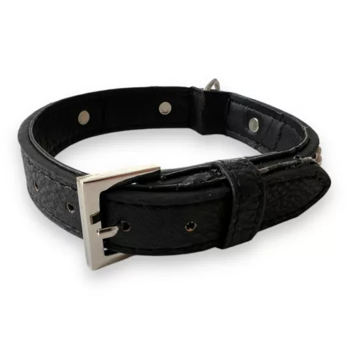 M-PETS Carmen nyakörv csontokkal és medállal S 1,5x22-30cm fekete