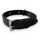 M-PETS Carmen nyakörv csontokkal és medállal L 2,5x35-40cm fekete