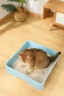 M-PETS Bio Tofu - Szója macskaalom 10L/4kg natúr