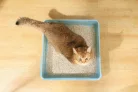 M-PETS Bio Tofu - Szója macskaalom 10L/4kg natúr