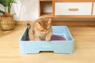 M-PETS Bio Tofu - Szója macskaalom levendula illattal 10L/4kg