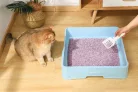 M-PETS Bio Tofu - Szója macskaalom levendula illattal 10L/4kg