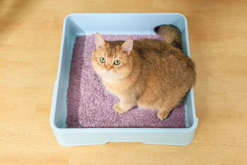 M-PETS Bio Tofu - Szója macskaalom levendula illattal 10L/4kg