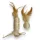 M-PETS Natura tollas szizálhenger/golyó macskajáték 20x3,5cm/12cmx4,5cm