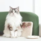 M-PETS Petjoy Puffy-Fluff A5 jegyzetfüzet