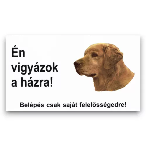Matricás feliratos tábla 023 golden retriever - Én vigyázok a házra 16,5x10cm