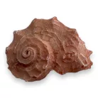 Dekor vízicsiga 4 x 3 x 2,5 cm