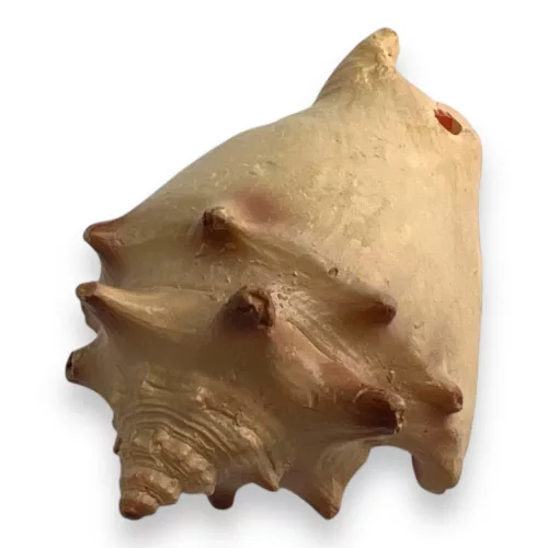 Dekor vízicsiga 6,5 x 4,5 x 4 cm