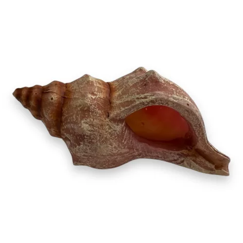 Dekor vízicsiga 9,5 x 5 x 4 cm