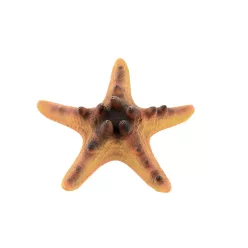 Dekor tengeri csillag 9,5 x 9 x 3,5 cm