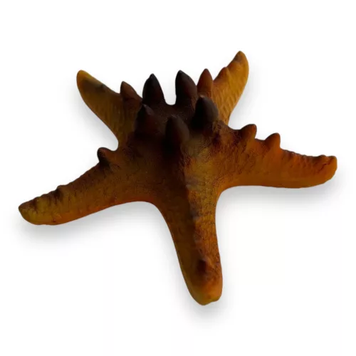Dekor tengeri csillag 9,5 x 9 x 3,5 cm