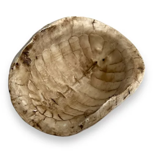 Dekor teknős páncél 11 x 9,5 x 5 cm