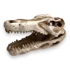 Dekor krokodil koponya 7,5 x 4,5 x 4,5 cm