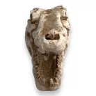 Dekor krokodil koponya 7,5 x 4,5 x 4,5 cm