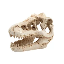 Dekor T-Rex koponya 8,5 x 6 x 6 cm