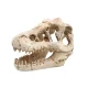 Dekor T-Rex koponya 8,5 x 6 x 6 cm