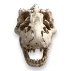 Dekor T-Rex koponya 8,5 x 6 x 6 cm