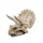 Dekor triceratops koponya 15,5 x 11,5 x 11 cm