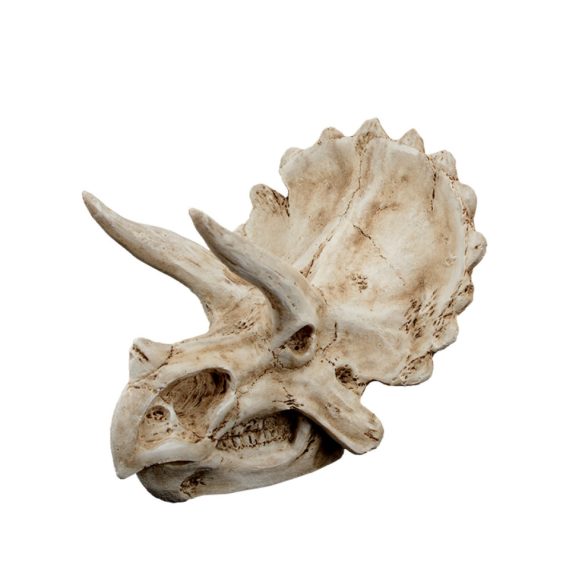Dekor triceratops koponya 15,5 x 11,5 x 11 cm